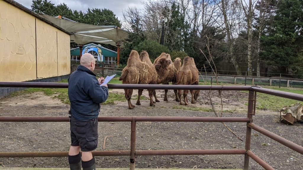 One, zoo... three! Increase in species found at annual Norfolk and